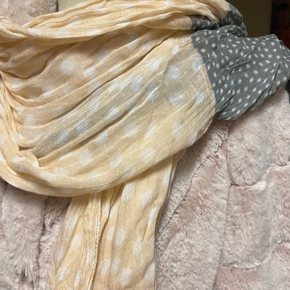LOFT Gauzy Pashmina in Cream and Gray - Picture 3 of 4
